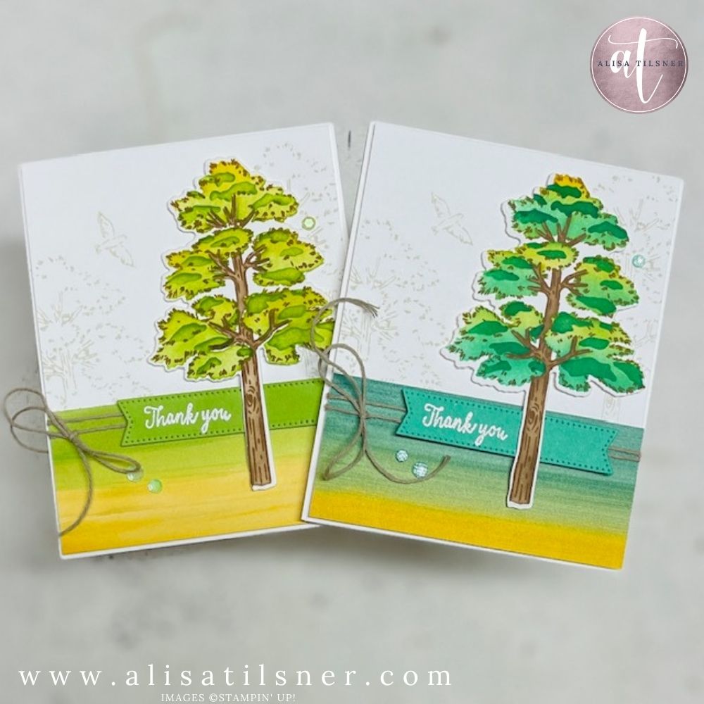 Stampin Up Frosted Forest Bundle