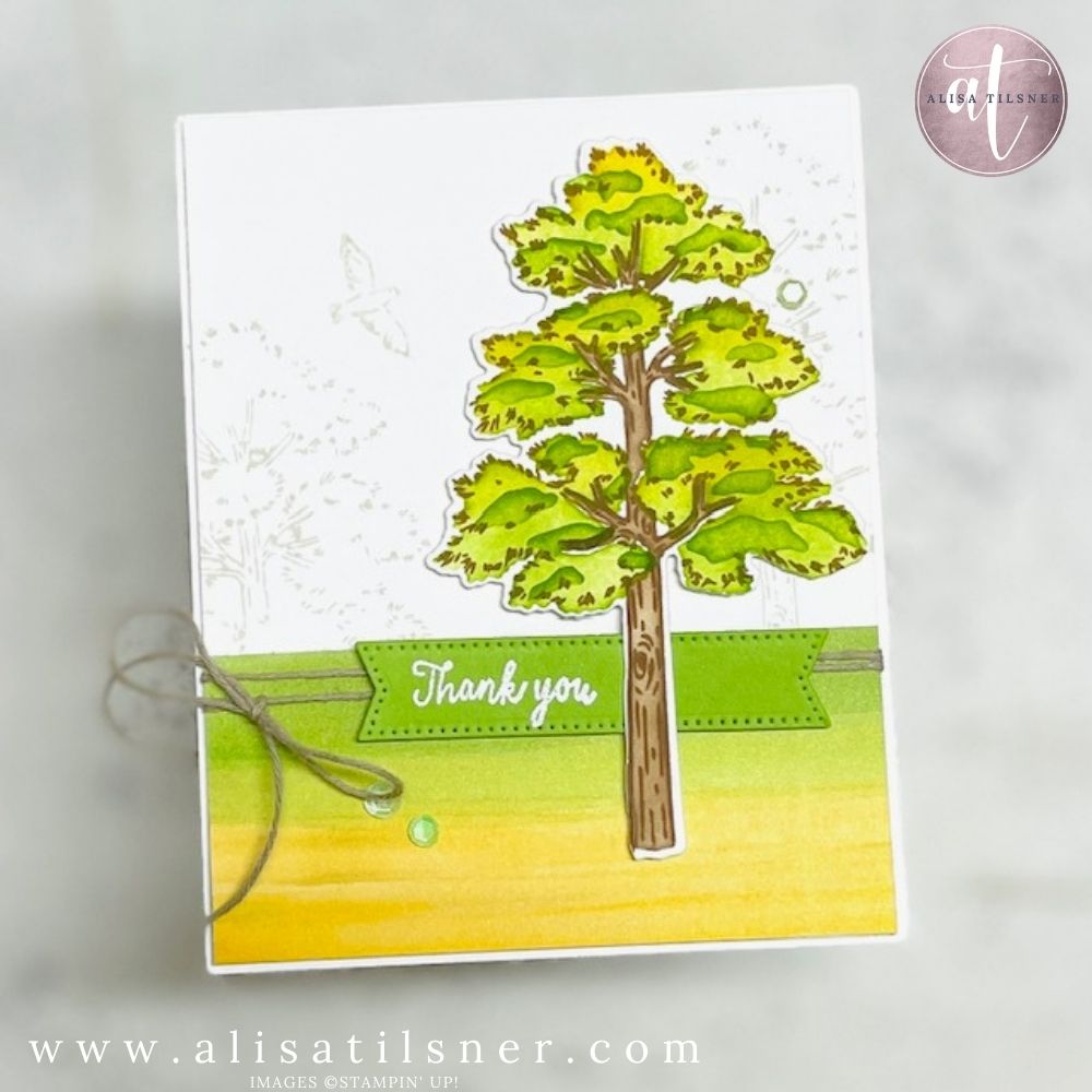 Stampin Up Frosted Forest Bundle