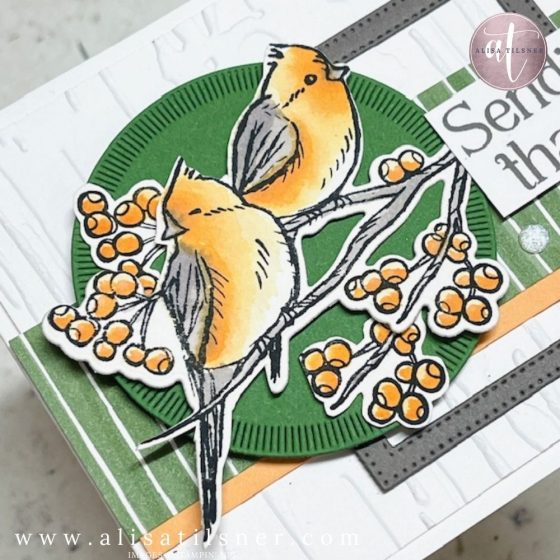 Stampin Up Winterly Tree Tops Bundle