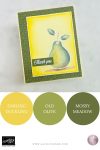 Perfectly Pears Bundle