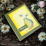 Perfectly Pears Bundle