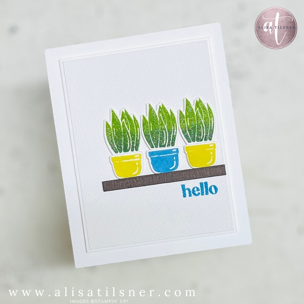 stampin up on display bundle