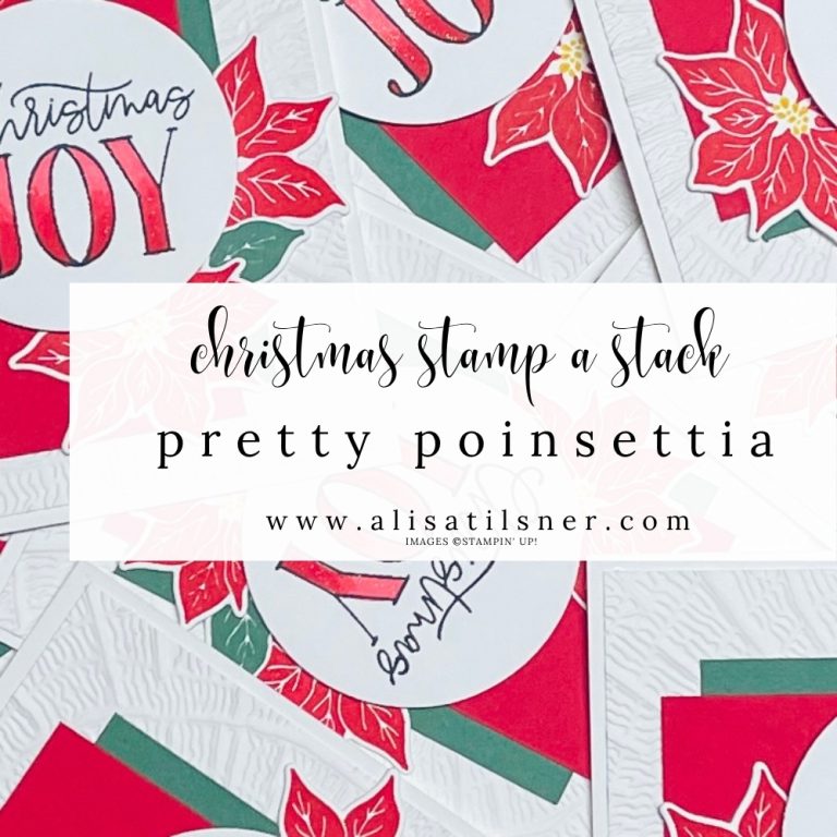 Christmas Stamp-a-Stack | Pretty Poinsettia
