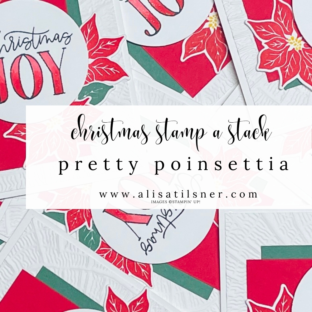 Christmas Stamp-a-Stack | Pretty Poinsettia