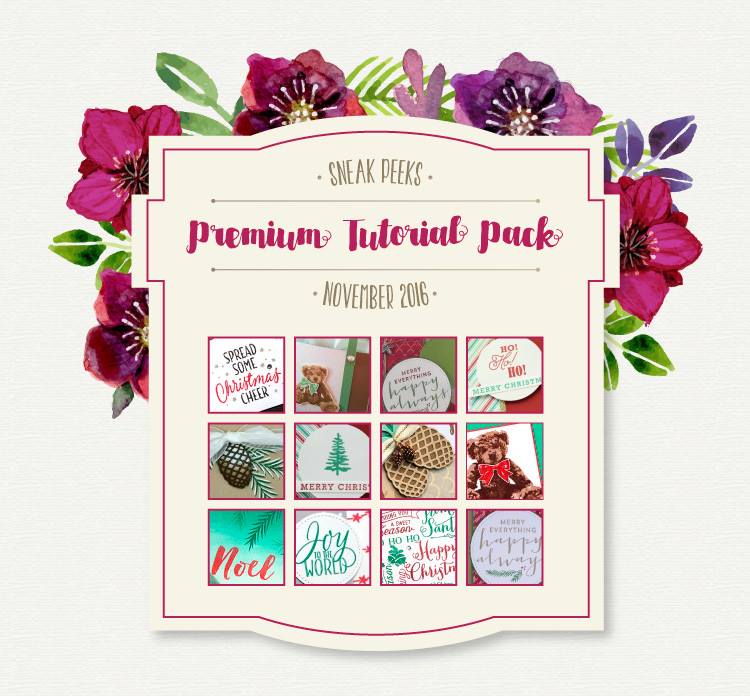 Premium Tutorial Pack